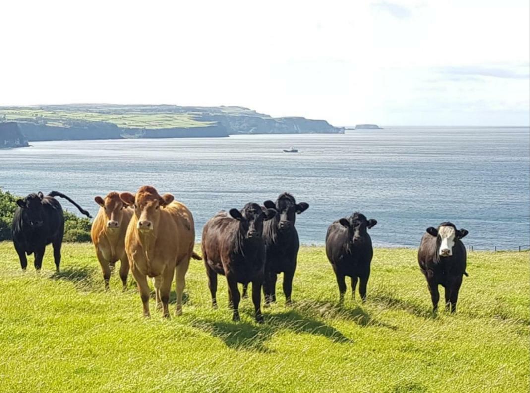 Tornabodagh House Ballycastle Dış mekan fotoğraf